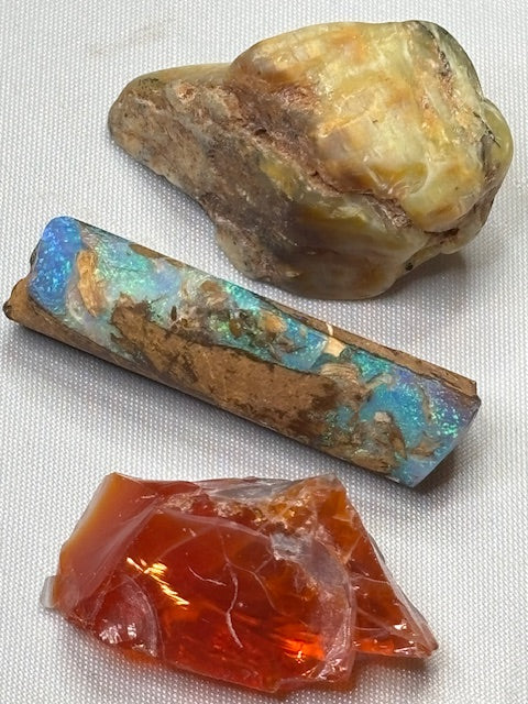 Edelopale roh verschiedene Sorten aus der ganzen Welt, Boulder Opal, Katzenaugenopal Chatoyance, Feueropal Edelsteinqualität