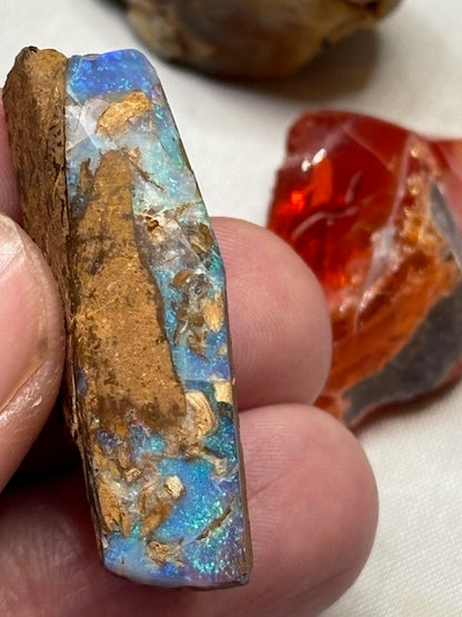 Edelopale roh verschiedene Sorten aus der ganzen Welt, Boulder Opal, Katzenaugenopal Chatoyance, Feueropal Edelsteinqualität