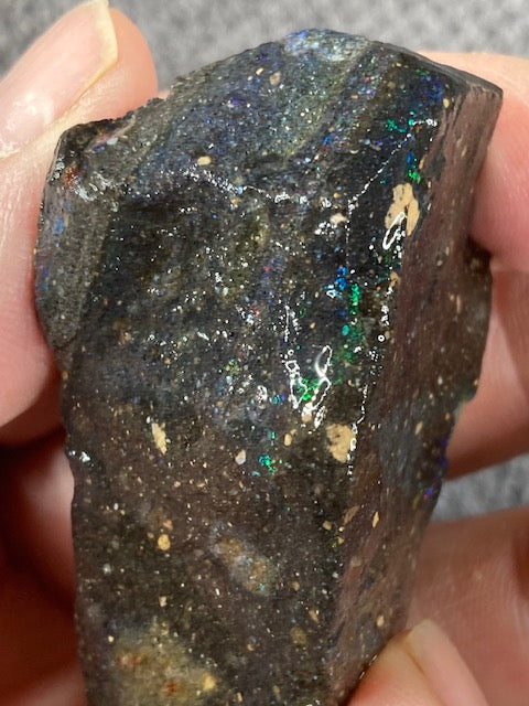 Honduras Opal Rohsteine, Rarität, Schwarzopal, Edelopal, Matrixopal