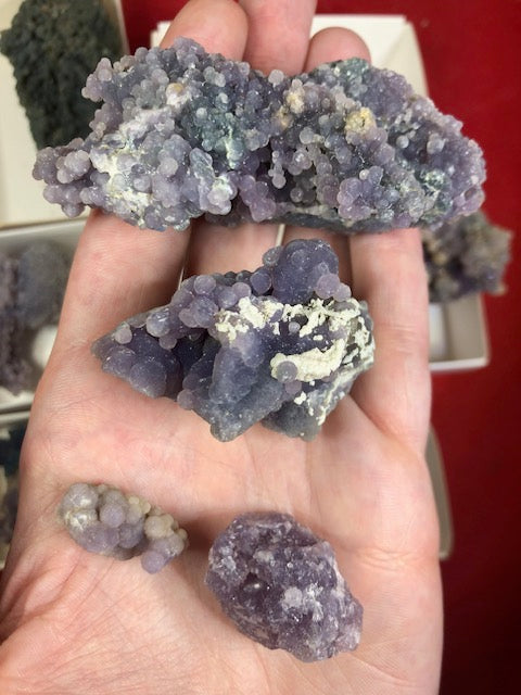 Traubenchalcedon verschiedene Größen in bester Qualität, Trauben Achat Grape Agate