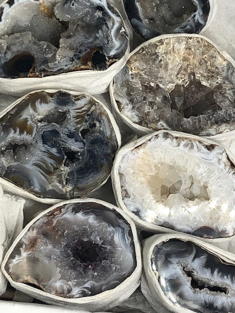 Achat Geode mit Kristall Druse in bester Qualität, Nussgeode