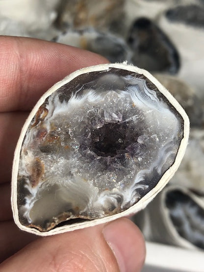 Achat Geode mit Kristall Druse in bester Qualität, Nussgeode