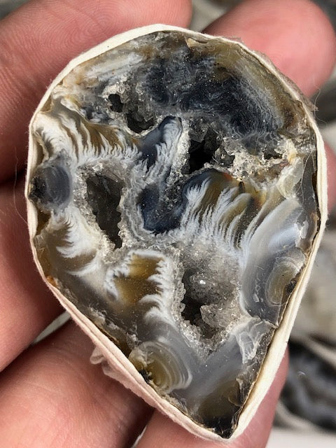 Achat Geode mit Kristall Druse in bester Qualität, Nussgeode