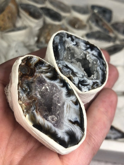 Achat Geode mit Kristall Druse in bester Qualität, Nussgeode