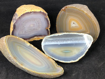 Achat Geode in sehr guter Qualität, naturbelassen oder gefärbt