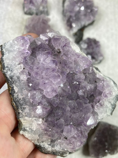 Amethyst Drusen Stücke in sehr guter Qualität