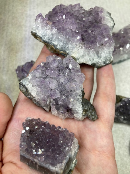 Amethyst Drusen Stücke in sehr guter Qualität