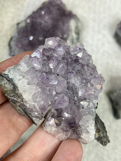 Amethyst Drusen Stücke in sehr guter Qualität