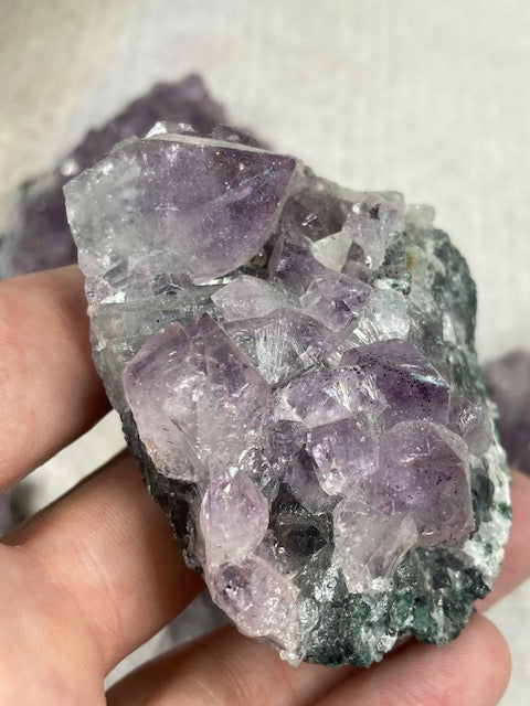 Amethyst Drusen Stücke in sehr guter Qualität