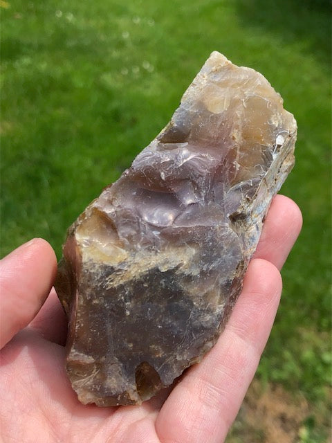 Opalisiertes Holz (Rarität) in bester Qualität mit Chalcedon, Palmenholz Holzopal Opalholz