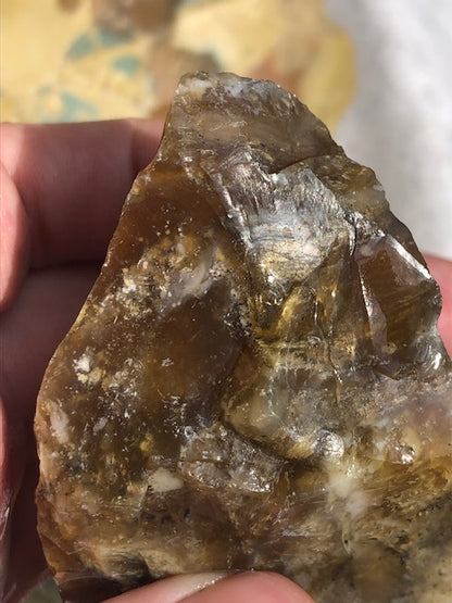 Opalisiertes Holz (Rarität) in bester Qualität mit Chalcedon, Palmenholz Holzopal Opalholz